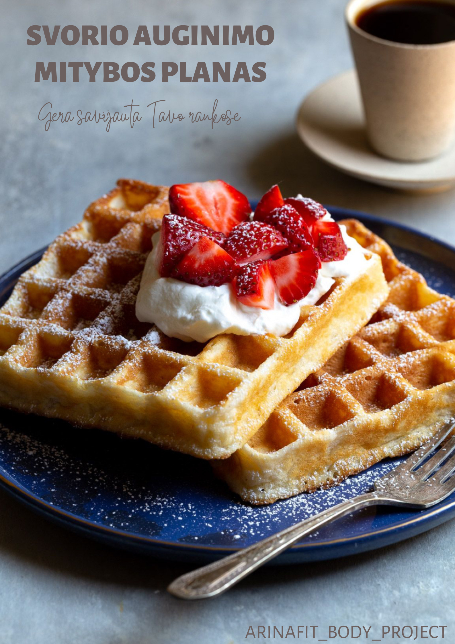 Svorio Palaikymo/Auginimo Mitybos Planas